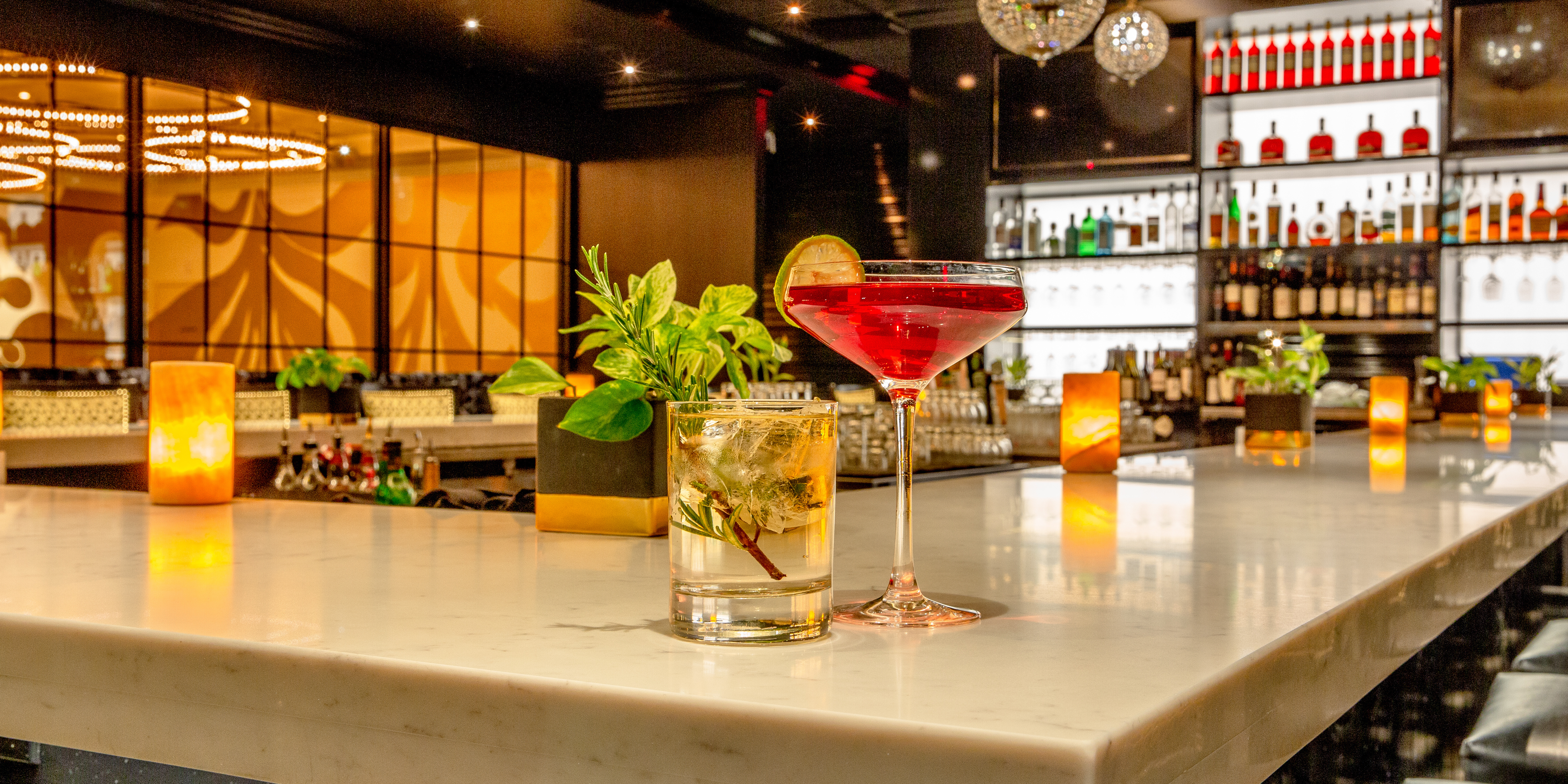 Cocktails on the bar